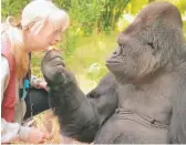  ?? AFP PHOTO/ THE GORILLA FOUNDATION ?? Koko and her lifelong teacher and friend Dr. Penny Patterson.