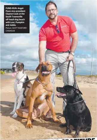  ?? FUND- RUN: AngelPaws vice- president Clayton Cook at the South Townsville off- leash dog beach with Lexi, Pumpkin and Jedda. Picture: SCOTT RADFORDCHI­SHOLM ??