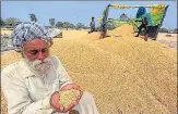  ?? HT FILE ?? A farmer with his maize crop at Mullanpur grain market in Ludhiana .