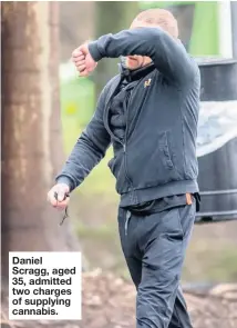  ??  ?? Daniel Scragg, aged 35, admitted two charges of supplying cannabis.