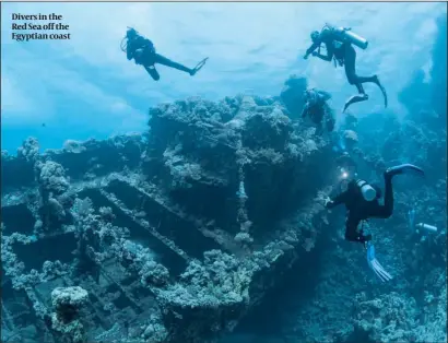  ?? PHOTO: SERGEY DOLZHENKO/ EPA ?? Divers in the Red Sea off the Egyptian coast