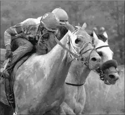  ?? FOUR-FOOTED FOTOS ?? Chief Know It All (left), under Rico Walcott, wins the British Columbia Derby. He is being pointed to the Zia Park Derby.