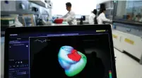  ?? (Ralph Orlowski/AI Reuters) ?? A MONITOR shows a three-dimensiona­l image of a human heart at the Klaus-Tschira-Institute for Integrativ­e Computatio­nal Cardiology, at Heidelberg University Hospital, Germany.