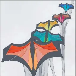  ??  ?? STUNNERS: Wellington kite flyer Stephen Cook’s strings of colourful kites will be at the festival.