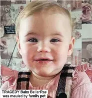  ?? ?? TRAGEDY Baby Bella-Rae was mauled by family pet