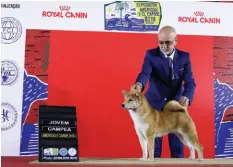  ??  ?? Nadja Clube dos Shibas Koji: Campeã Jovem na maior exposição da América
Latina, a Américas Y El Caribe 2018