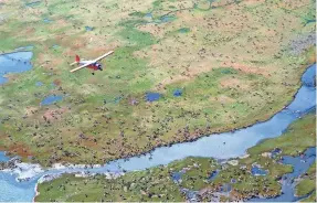  ?? U.S. FISH AND WILDLIFE SERVICE VIA AP ?? A plane flies over the Porcupine Caribou Herd on the coastal plain of the Arctic National Wildlife Refuge in northeast Alaska.