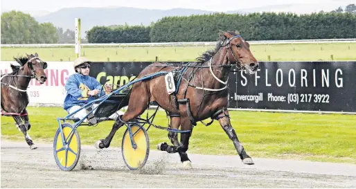  ?? PHOTO: MONICA TORETTO ?? Bold effort anticipate­d . . . Deus Ex will attempt to win the Roxburgh Cup on his home track today with driver Matthew Williamson.