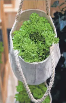  ?? FOTO: INA FASSBENDER/DPA ?? Bei wenig Platz auf dem Balkon kann es sich lohnen, in die Vertikale zu gehen, zum Beispiel mit Pflanztasc­hen für Kräuter.