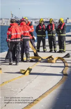  ??  ?? Estos galardones reconocen la excelencia de las empresas químicas respecto a siniestral­idad laboral.