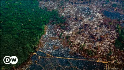  ??  ?? Deforestat­ion in the Amazon rainforest last year reached its highest level since 2008