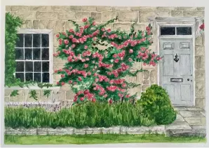  ??  ?? Cottage with roses by Steven Maslen @countryblu­einteriors
‘My painting is a watercolou­r with a little pencil over the top, and it was inspired by a photograph from the David Austin rose catalogue. I love old Georgian stone buildings and couldn’t resist trying to paint this one.’