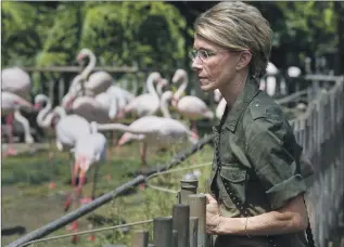  ?? Robert Gauthier Los Angeles Times ?? A SIDE GIG treating animals at the Los Angeles Zoo led Dr. Barbara Natterson-Horowitz, a cardiologi­st and professor at UCLA, to explore health connection­s across species.