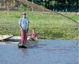  ?? FOTO JAIME PÉREZ ?? Los peces de agua dulce son la principal proteína para 200 millones de personas en el mundo.