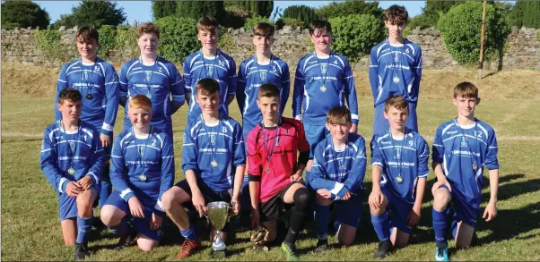  ??  ?? The victorious Roundwood side who defeated Arklow Celtic in the last match of the day in Celtic Park, Arklow.