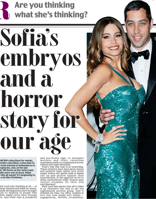  ??  ?? Modern family problems: Actress Sofia and her ex Nick Loeb