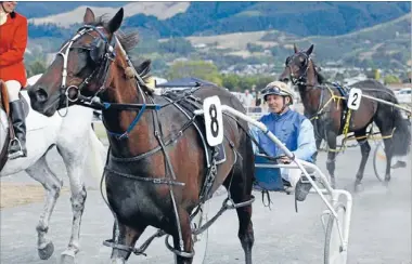  ?? Photos: PATRICK HAMILTON/FAIRFAX NZ ?? Top team: Jason Rulz’s driver Ricky May is all smiles after the Nelson Cup victory yesterday.