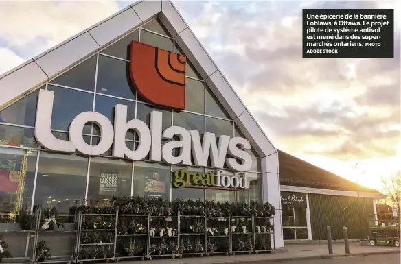  ?? ADOBE STOCK PHOTO ?? Une épicerie de la bannière Loblaws, à Ottawa. Le projet pilote de système antivol est mené dans des supermarch­és ontariens.