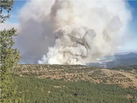  ?? PHOTO COURTESY TAOS COUNTY UNDERSHERI­FF STEVE MIERA ?? The Luna Fire burns near Forest Road 76, south of Cerro Vista near Taos, at 5 p.m. Sunday. About 90 crew members were fighting the fire Monday, and officials were preparing to begin air operations.