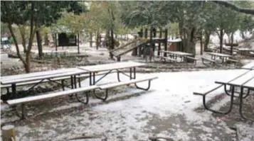  ?? | FACEBOOK ?? En un hecho poco común, los jardines del Parque Fundidora lucieron cubiertos de nieve, como en Chipinque.