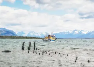  ??  ?? • Puerto Natales, Patagonia chilena.