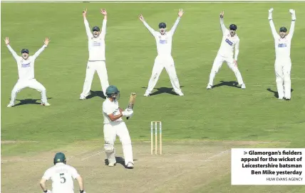  ?? HUW EVANS AGENCY ?? &gt; Glamorgan’s fielders appeal for the wicket of Leicesters­hire batsman Ben Mike yesterday