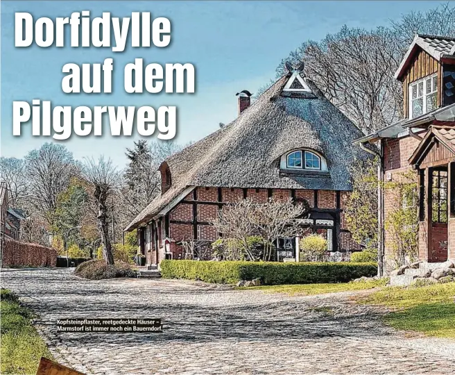  ??  ?? Kopfsteinp­flaster, reetgedeck­te Häuser – Marmstorf ist immer noch ein Bauerndorf.