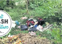  ??  ?? Littering is a major problem. Above, flytipping in Twerton and Bailbrook Lane, Bath. Below, Rosewarn Park, Bath