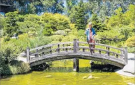  ?? Dorothy O’Donnell ?? A SERENE KOI pond is part of the Japanese-style sanctuary at Hakone Estate & Gardens in Saratoga. Explore the 18 acres of bamboo groves and lush vegetation.
