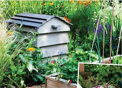  ??  ?? CRAFTY DISGUISE: A compost bin built to look like a beehive looks far more attractive than the usual utilitaria­n design, right