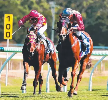  ?? Picture: ALIX SWEENEY ?? WINNING RUN: Eightfa (right) takes the win for jockey Frank Edwards and trainer Alby Molino in the Maiden Handicap 1300m at Cluden Park.