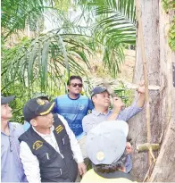  ??  ?? MASIUNG melancarka­n pengiktira­fan pokok durian tertua di Tongod.