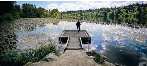  ?? FOTO: DARRYL DYCK/AP ?? Auch im pittoreske­n Kanada – wie hier am Deer Lake in Burnaby, British Columbia – ist ein Schüleraus­tausch noch kurzfristi­g möglich.