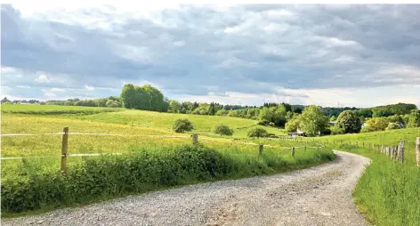  ?? FOTO: LUDMILLA HAUSER ?? Beim Wandern am Leverkusen­er Obstweg entdeckt man eine große Vielfalft von Flora und Fauna.