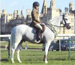  ??  ?? Samantha Heap’s Townranney Brian (Lucy Robinson) jumps the sole 153cm clear round inside the time, going on to win the Gold Cup title