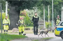  ?? BILD: Torsten von Reeken ?? Auch am Sonntagnac­hmittag wurden noch einmal Personen- spürhunde eingesetzt.