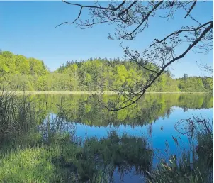  ?? FOTO: STEFAN WEISSENBOR­N ?? Die Eggstätt-Hemhofer Seenplatte ist das älteste Naturschut­zgebiet Bayerns.