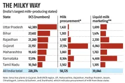  ?? Source: NDDB ?? DCS: Dairy cooperativ­e societies; *thousand kilograms per day; **thousand litres per day