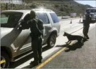  ?? ELLIOT SPAGAT— THE ASSOCIATED PRESS ?? In this Thursday, Dec. 14, 2017 photo, border patrol agents use a drug sniffing dog to check vehicles at California’s Pine Valley checkpoint, on the main route from Arizona to San Diego.