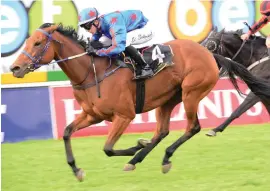  ?? Picture: JC Photograph­ics ?? LAST TO FIRST. Brigtnumbe­rfive wins the FM 90 Handicap at Turffontei­n on Saturday with apprentice jockey Dennis Schwarz in the irons.