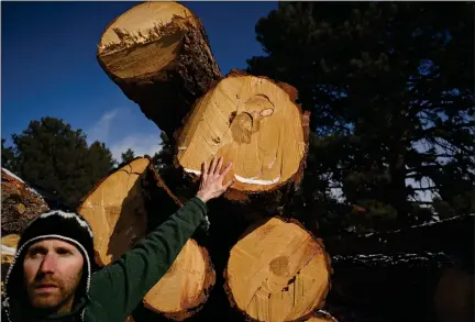  ?? RJ SANGOSTI — THE DENVER POST ?? Environmen­tal activist Josh Schlossber­g stands in Elk Meadow Park with recently harvested trees that were felled as part of a fire management plan on the Jefferson County Open Space near Evergreen on Feb. 28. Schlossber­g is concerned that Jefferson County’s mitigation plan in the open space parks is cutting old-growth trees — an important part of the ecosystem — as part of its fire mitigation plan.