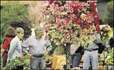  ?? AJC FILE PHOTO ?? The 2011 Southeaste­rn Flower Show, held at the Cobb Galleria Centre, featured a blooming bougainvil­lea and other installati­ons. After 2013 the flower show went into hibernatio­n. Next year the Atlanta Botanical Garden will bring back a new version.