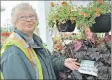  ?? DESIREE ANSTEY/JOURNAL PIONEER ?? Kent Garden Centre supervisor, Wendy Buchanan, stands in front of the plants where a tiny swallow’s nest is hidden.