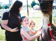  ??  ?? Siri Ballew, 8, pets a llama while attending with her mom Laura and brother Marzee at The Great Llama Race in World’s Fair Park in Knoxville.