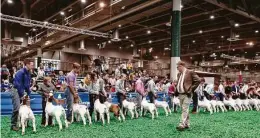  ?? Houston Livestock Show and Rodeo ?? About 10,000 junior exhibitors who were unable to show their livestock this year are being awarded $9.3 million.