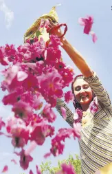  ??  ?? Isparta’s famous rose harvest takes place from May to June and people coming from all over Turkey and world can join the harvest and related events in the city.