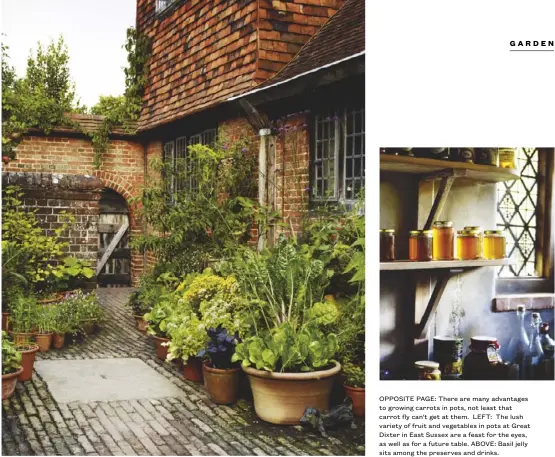  ??  ?? OPPOSITE PAGE: There are many advantages to growing carrots in pots, not least that carrot fly can't get at them. LEFT: The lush variety of fruit and vegetables in pots at Great Dixter in East Sussex are a feast for the eyes, as well as for a future table. ABOVE: Basil jelly sits among the preserves and drinks.