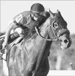  ?? BARBARA D. LIVINGSTON ?? West Coast, shown winning the 2017 Pennsylvan­ia Derby, was sold from Book 3 of the 2015 Keeneland September auction.