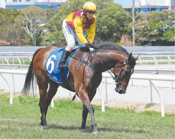  ?? Picture: MIKE BATTERHAM ?? Darktown Strutter, ridden by Bridget Grylls, after one of her three wins at the Gold Coast.