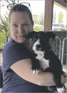  ?? ?? ADOPTER: Lisa Walterhous­e CITY OF RESIDENCE: El Cajon PET’S NAME: Hagrid
AGE: 4 months
BREED: Pitbull mix
DATE ADOPTED: April 2022